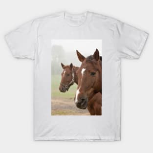 Horses T-Shirt